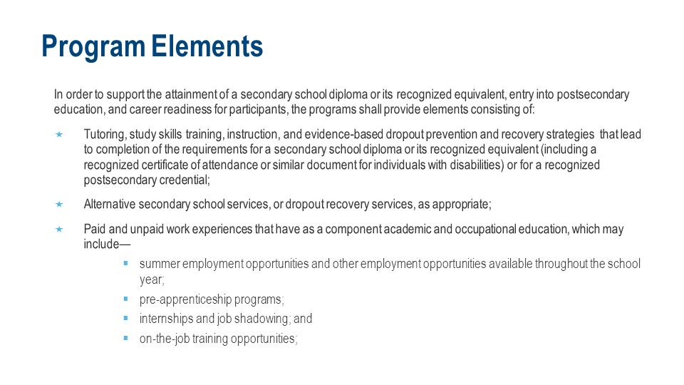 Program Elements