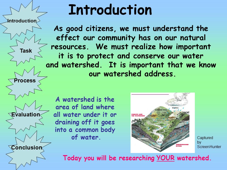 Conservation Of Environment Essay
