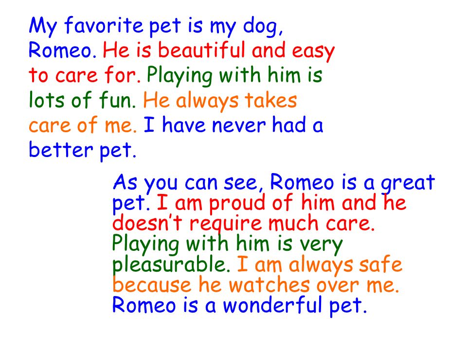 my pet animal dog essay