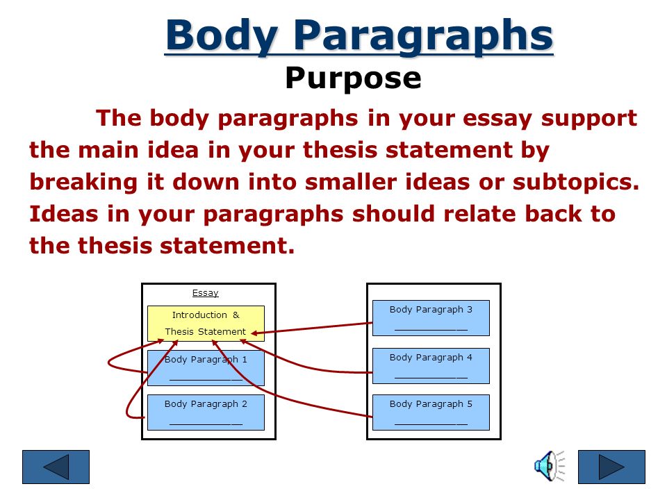 The paragraphs that support and explain the thesis statement are called