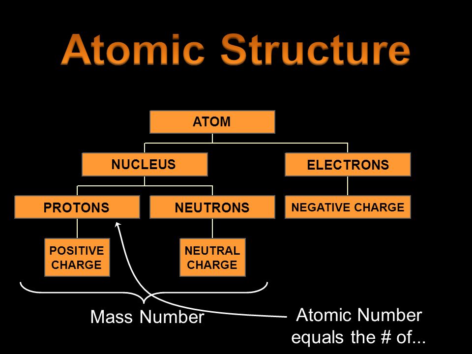 Mass Number Atomic Number equals the # of...