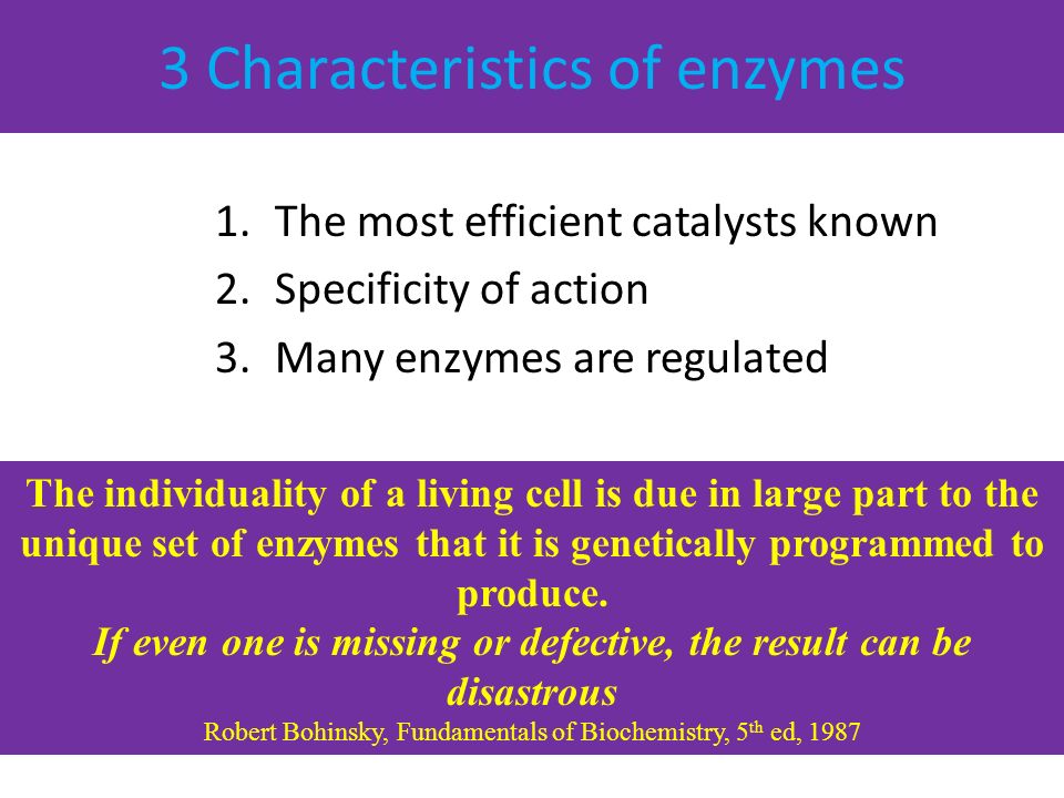 characteristics of enzymes