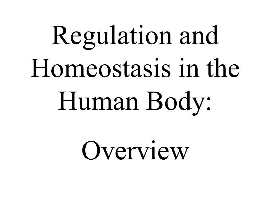 Get someone write my paper the significance of homeostasis to the human body