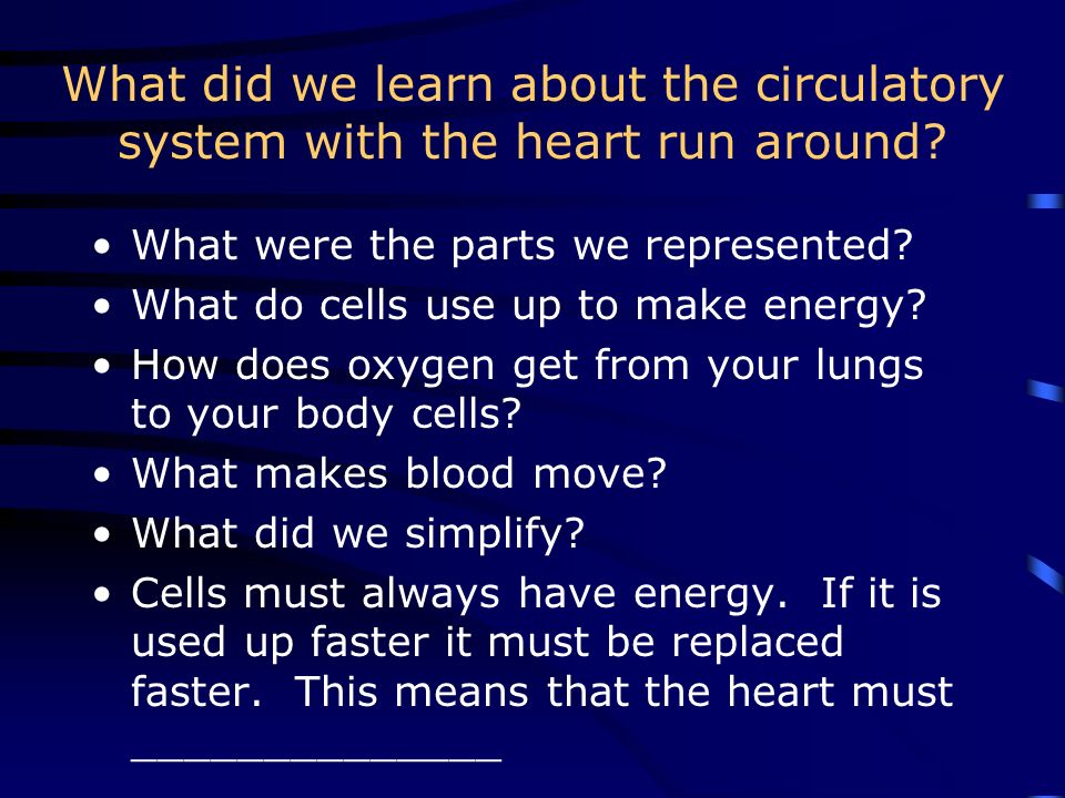 Two truths and a lie The main parts of the circulatory system are the heart, blood vessels and lungs.