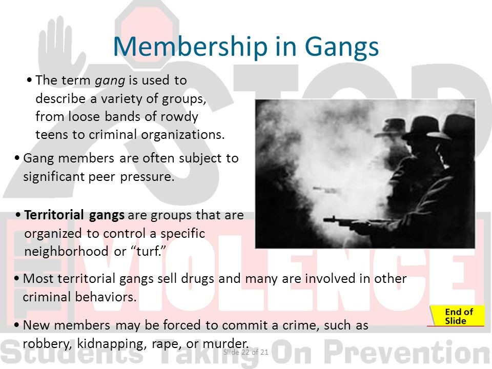 Slide 22 of 21 The term gang is used to describe a variety of groups, from loose bands of rowdy teens to criminal organizations.