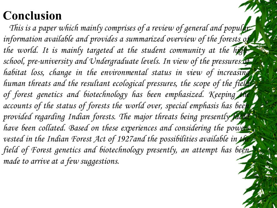 deforestation essay conclusion deforestation essay conclusion