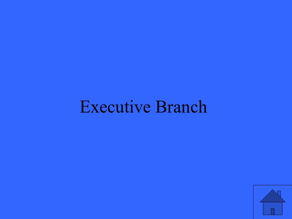 21 Executive Branch