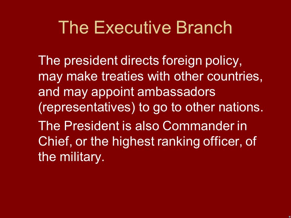 The Executive Branch The President, Vice President, and their cabinets are members of the executive branch.