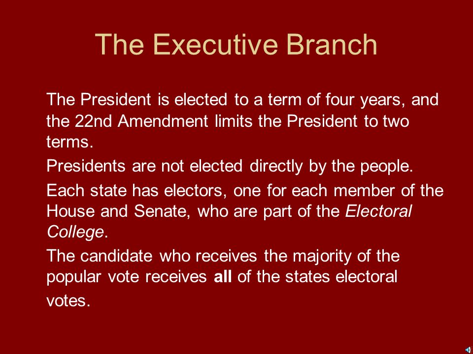 The Executive Branch The president directs foreign policy, may make treaties with other countries, and may appoint ambassadors (representatives) to go to other nations.