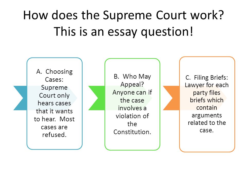 Court Essay