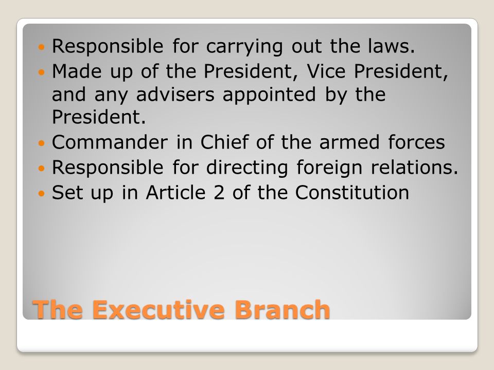 The Executive Branch Responsible for carrying out the laws.
