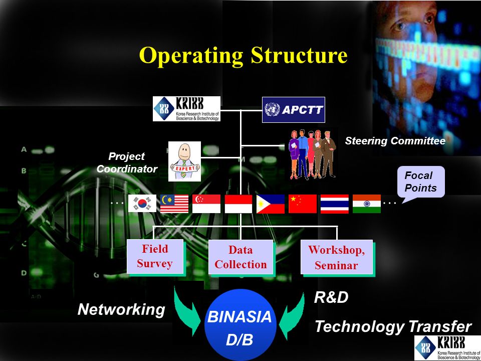 Networking Field Survey Data Collection Workshop, Seminar Workshop, Seminar Project Coordinator Focal Points …… R&D Technology Transfer Steering Committee BINASIA D/B Operating Structure