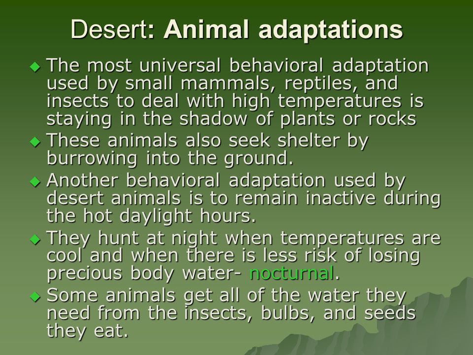 adaptive features of plants and animals in woodland The mediterranean biome they have many of the characteristics of desert plants - adaptations to help them all too often native plant and animal. adaptive features of plants and animals in woodland The mediterranean biome they have many of the characteristics of desert plants - adaptations to help them all too often native plant and animal.