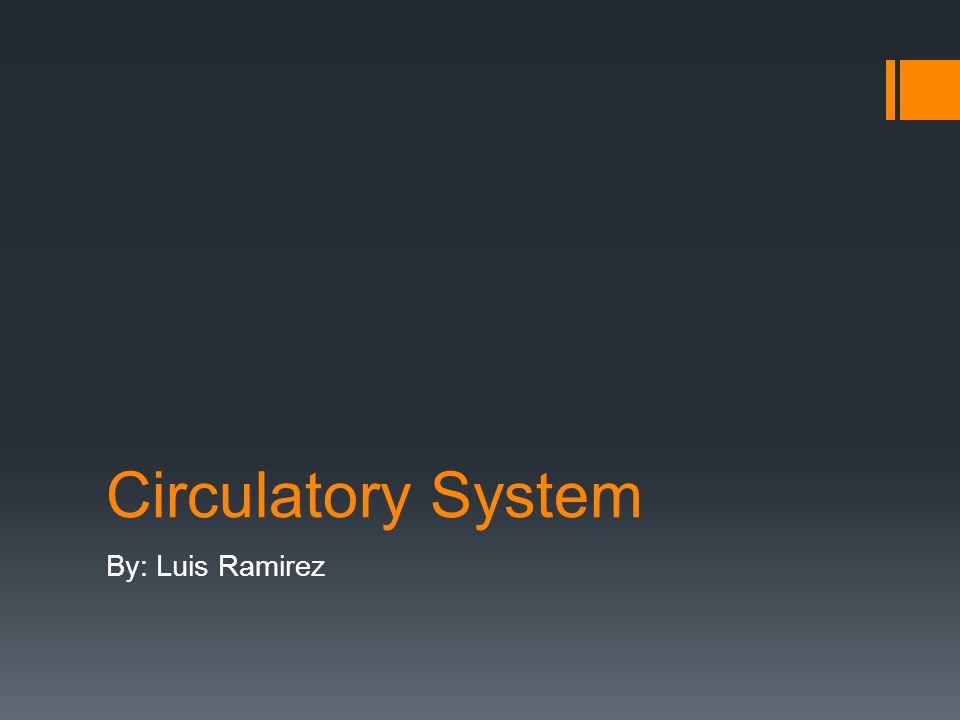 Circulatory System By: Luis Ramirez