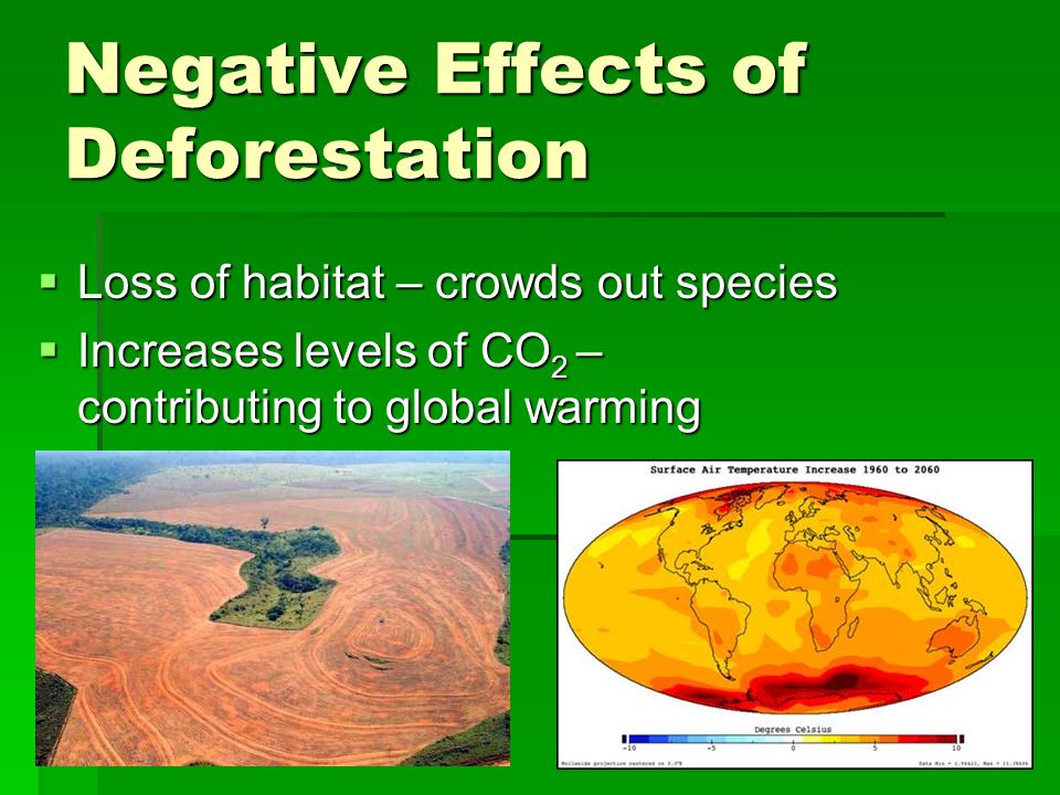 Negative Effects of Deforestation  Loss of habitat – crowds out species  Increases levels of CO 2 – contributing to global warming