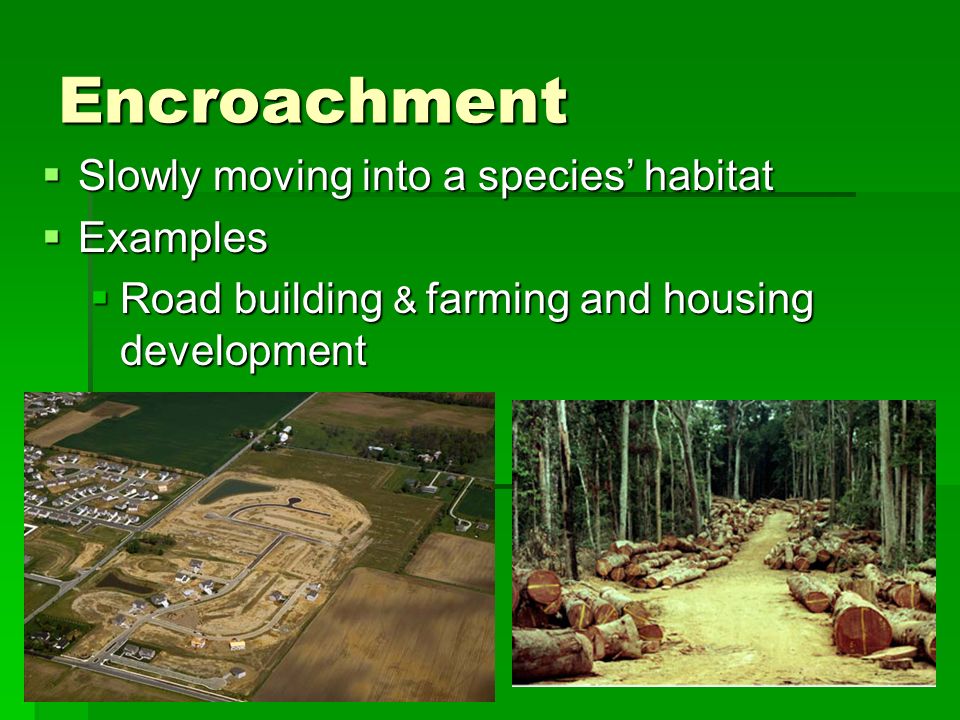Encroachment  Slowly moving into a species’ habitat  Examples  Road building & farming and housing development