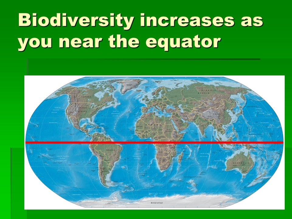 Biodiversity increases as you near the equator