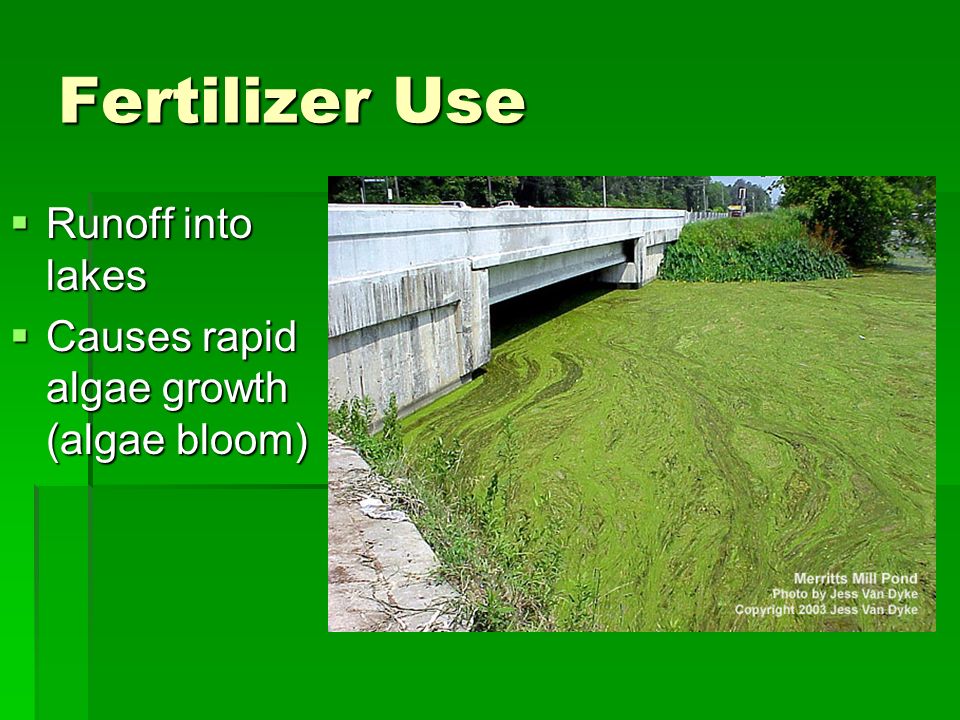 Fertilizer Use  Runoff into lakes  Causes rapid algae growth (algae bloom)