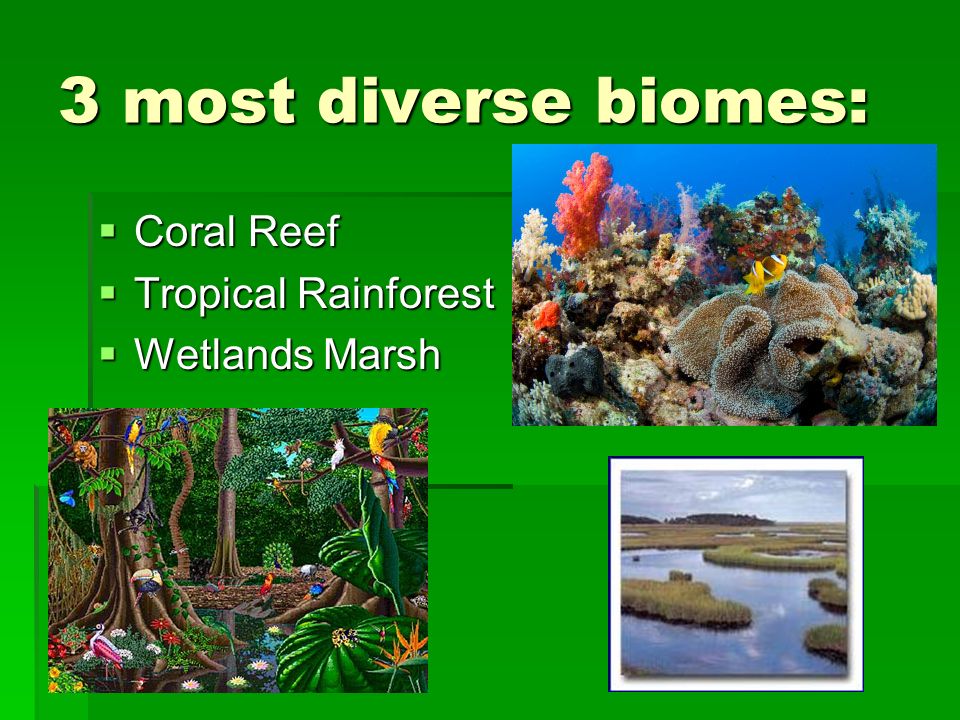 3 most diverse biomes:  Coral Reef  Tropical Rainforest  Wetlands Marsh