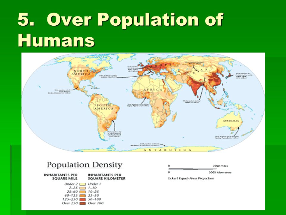 5. Over Population of Humans