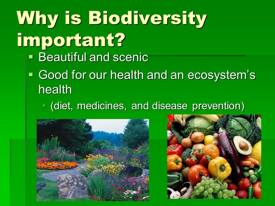 Why is Biodiversity important.