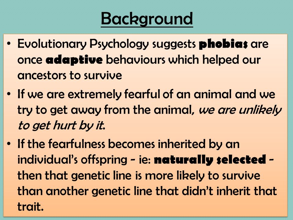evolution term papers evolution term papers