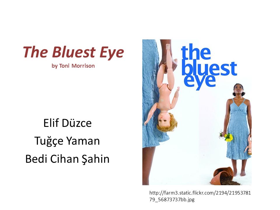 Thesis statement about the bluest eye