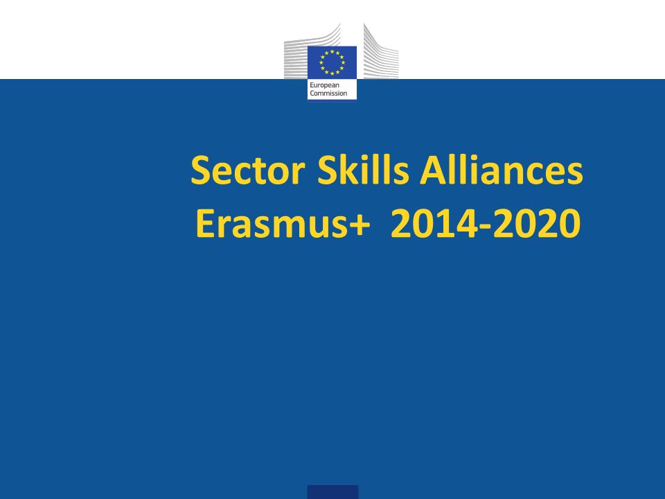 Sector Skills Alliances Erasmus