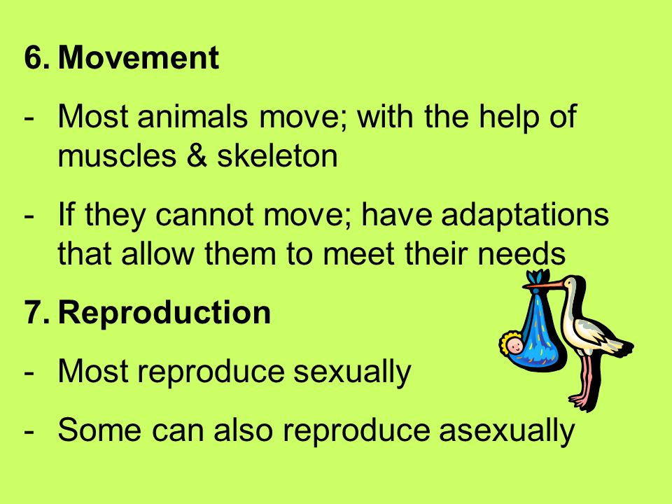 4.Excretion -Most waste is ammonia (a poison to animals) -Is eliminated or converted to something less toxic & removed 5.Response - Nerve cells allow organisms to respond to their environment; not all org’s have nervous systems