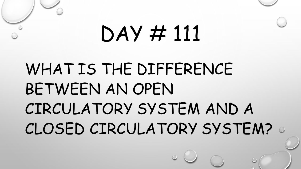 day 91 take the first 5 minutes of class to review for the test use the venn diagram to compare and contrast open and closed circulatory systems
