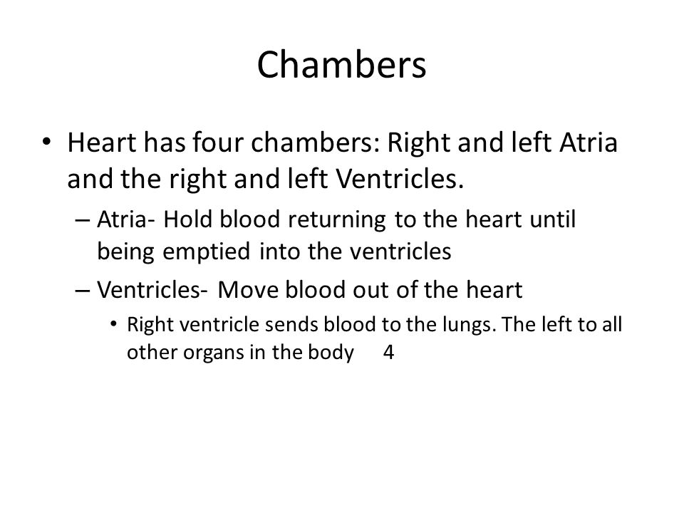 Chambers Heart has four chambers: Right and left Atria and the right and left Ventricles.