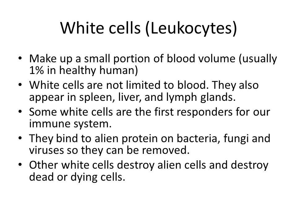 White cells (Leukocytes) Make up a small portion of blood volume (usually 1% in healthy human) White cells are not limited to blood.