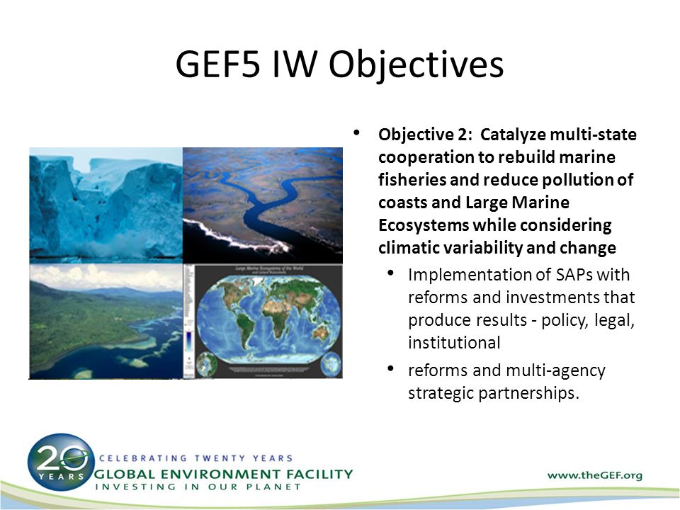 Objective 2: Catalyze multi-state cooperation to rebuild marine fisheries and reduce pollution of coasts and Large Marine Ecosystems while considering climatic variability and change Implementation of SAPs with reforms and investments that produce results - policy, legal, institutional reforms and multi-agency strategic partnerships.