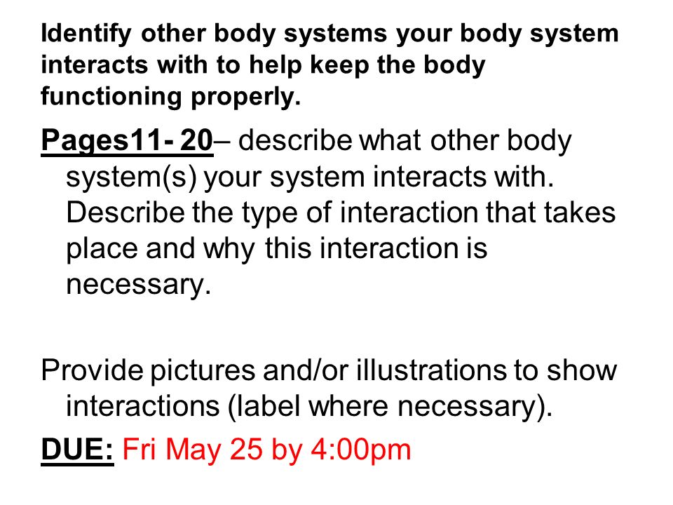 Identify other body systems your body system interacts with to help keep the body functioning properly.