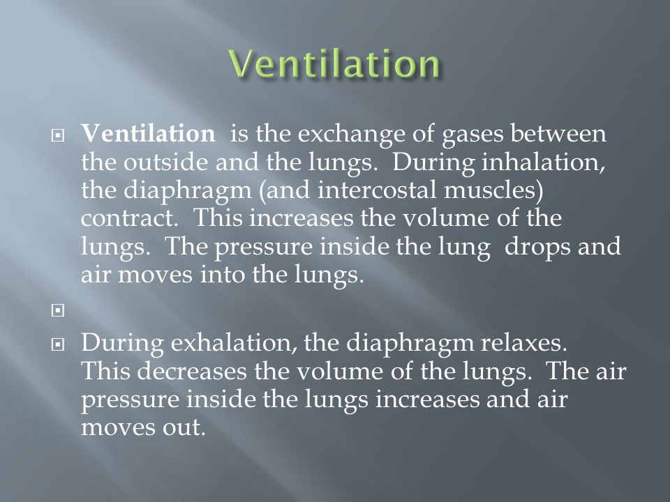  Ventilation is the exchange of gases between the outside and the lungs.