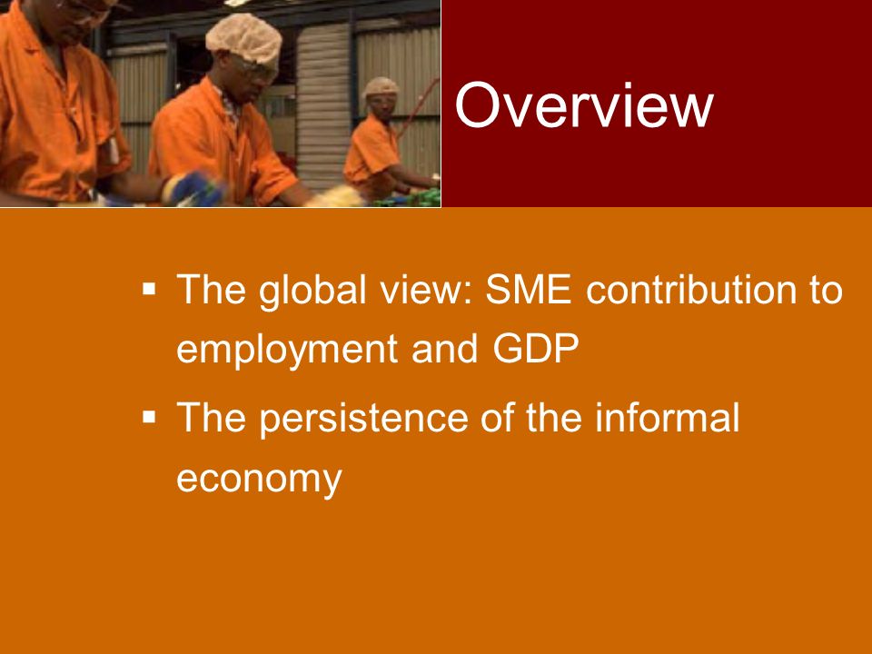  The global view: SME contribution to employment and GDP  The persistence of the informal economy Overview