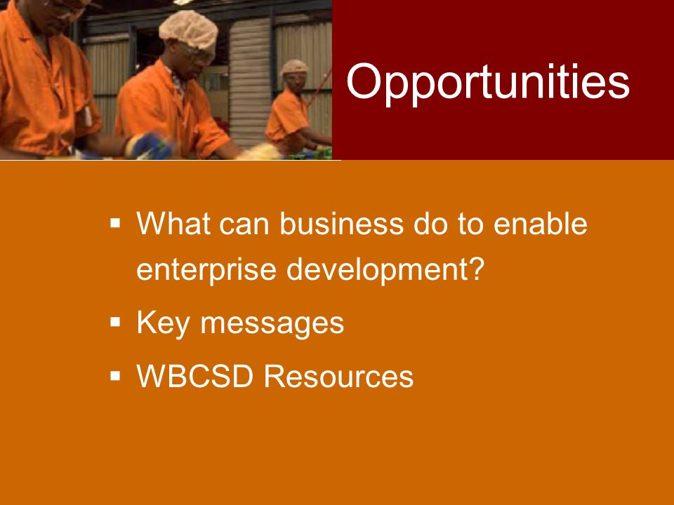  What can business do to enable enterprise development.