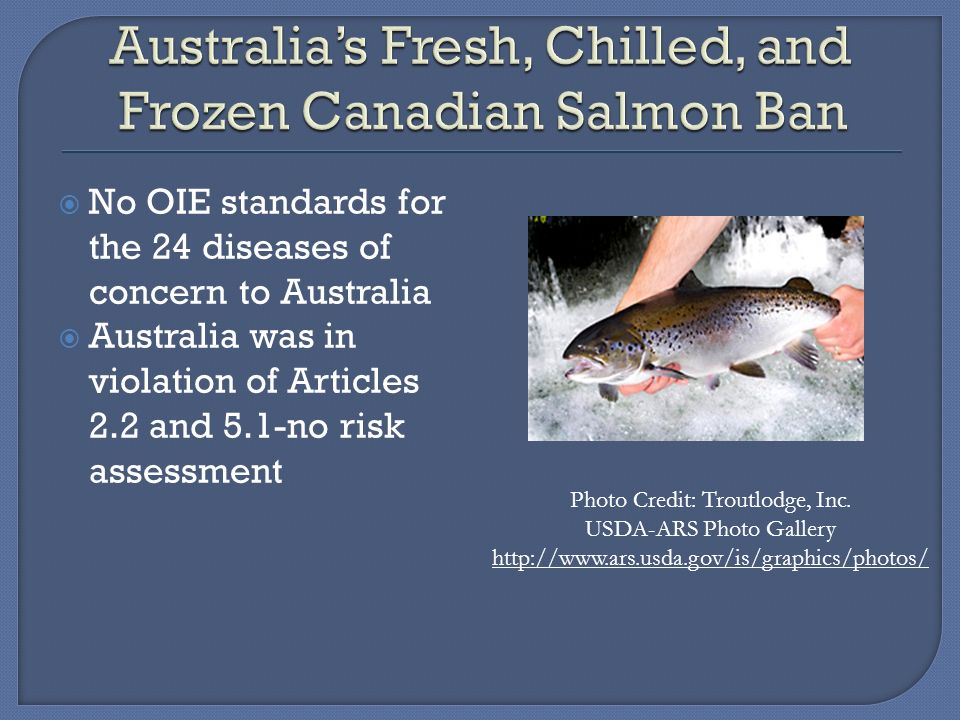  No OIE standards for the 24 diseases of concern to Australia  Australia was in violation of Articles 2.2 and 5.1-no risk assessment Photo Credit: Troutlodge, Inc.