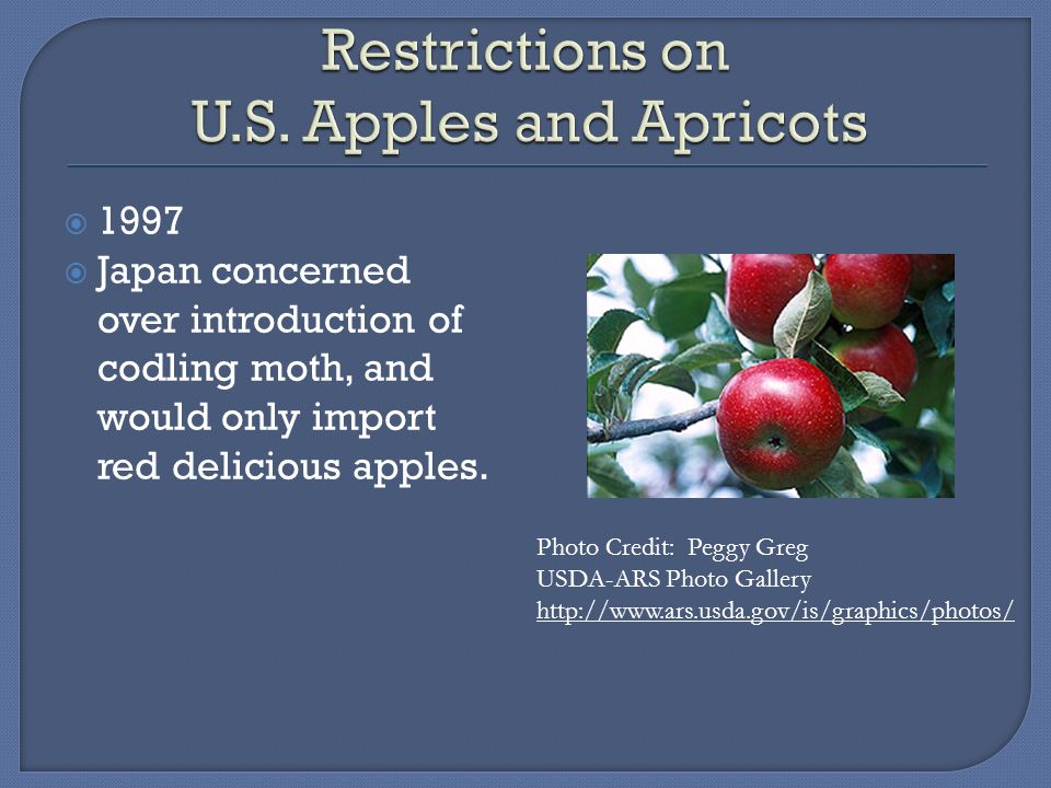  1997  Japan concerned over introduction of codling moth, and would only import red delicious apples.