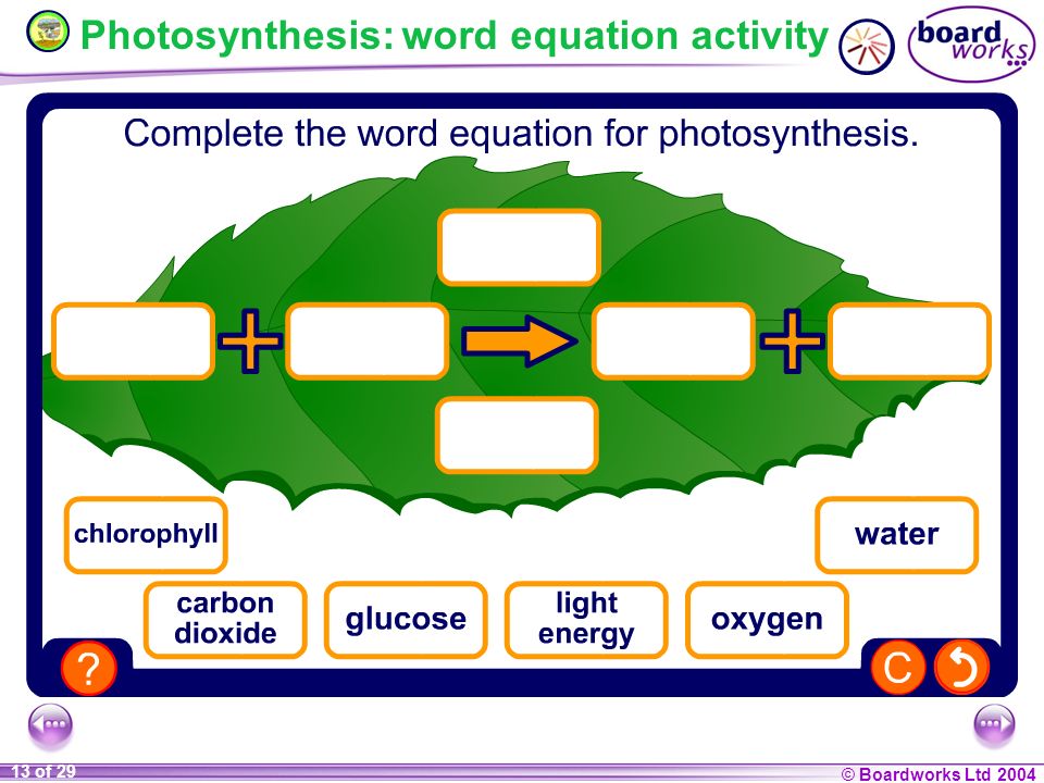 What S The Equation For Photosynthesis In Words Talkchannels Boardworks Ltd Of 29 Photosynthesis Respiration Ppt Download