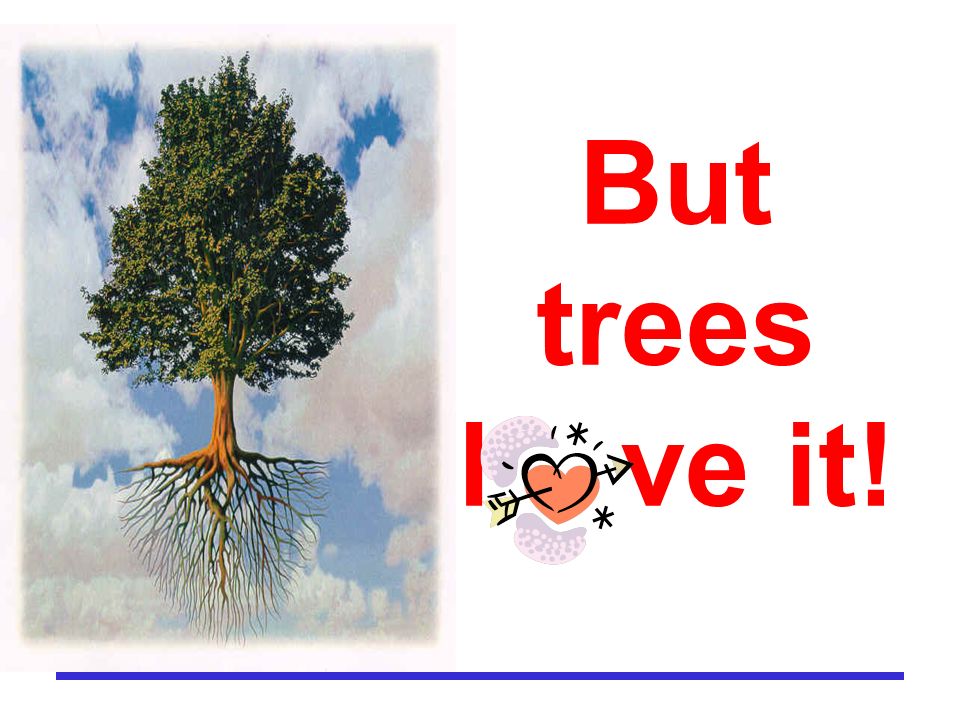 But trees l ve it!