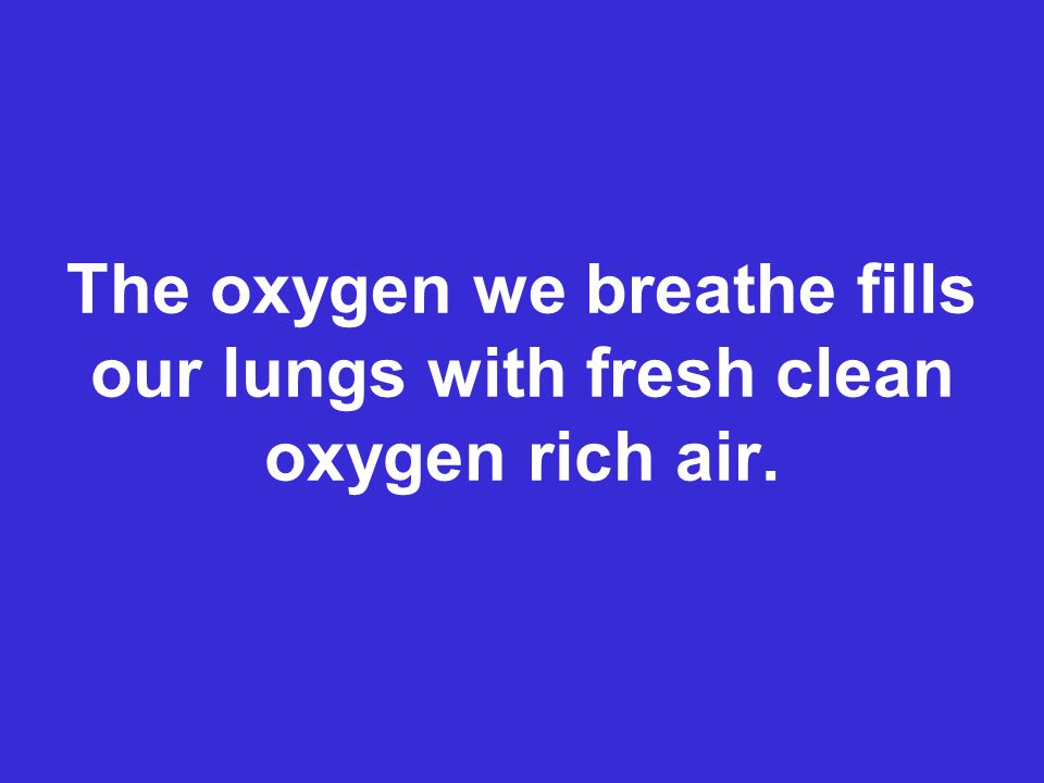 The oxygen we breathe fills our lungs with fresh clean oxygen rich air.