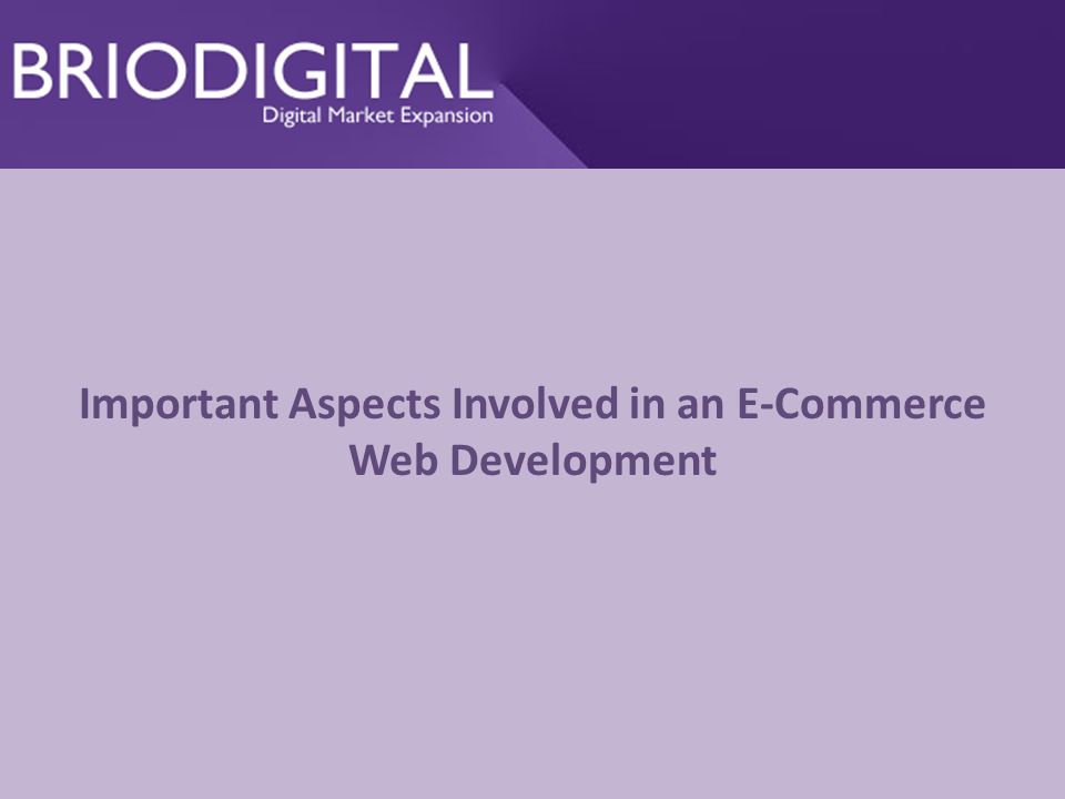 Important Aspects Involved in an E-Commerce Web Development