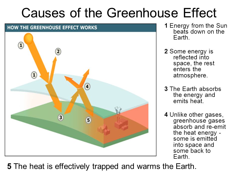 Causes of the Greenhouse Effect 1 Energy from the Sun beats down on the Earth.