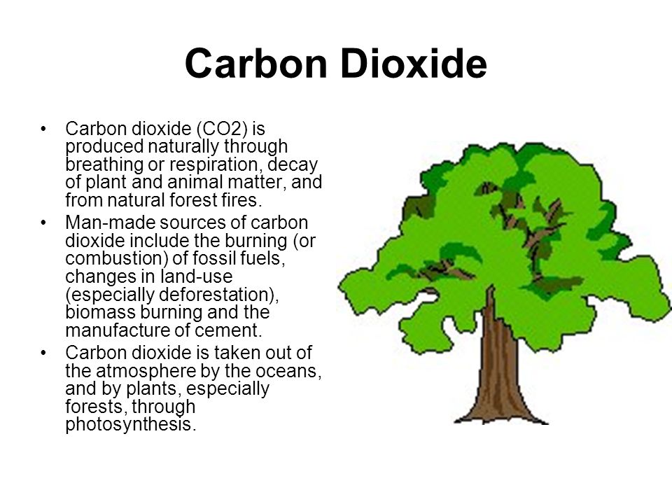 Carbon Dioxide Carbon dioxide (CO2) is produced naturally through breathing or respiration, decay of plant and animal matter, and from natural forest fires.