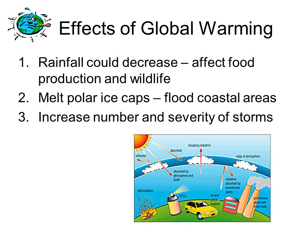 Effects of Global Warming 1.Rainfall could decrease – affect food production and wildlife 2.Melt polar ice caps – flood coastal areas 3.Increase number and severity of storms