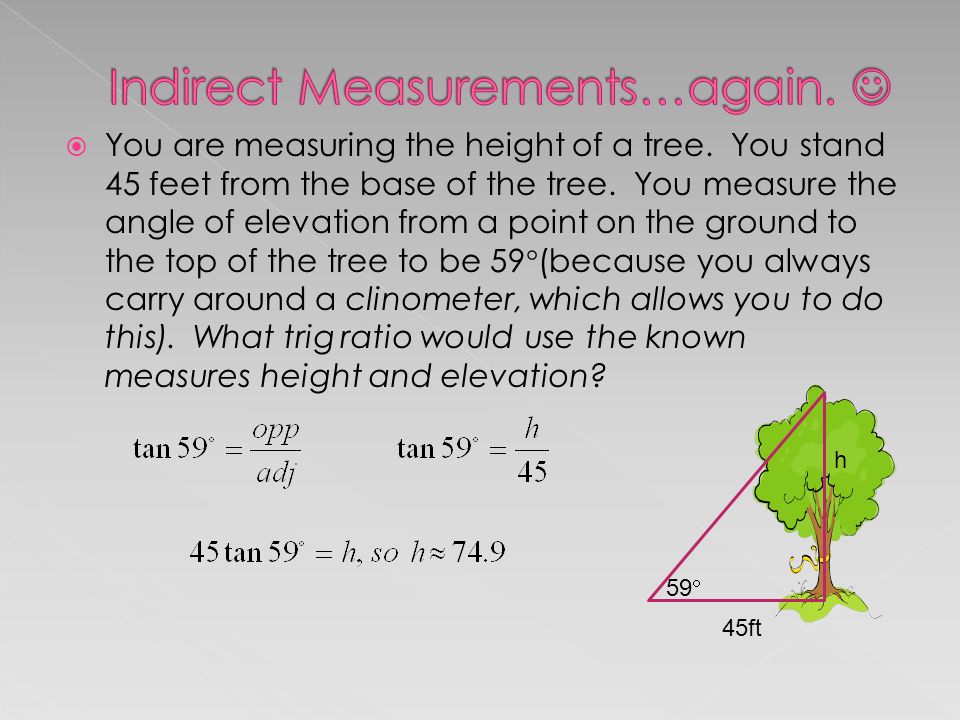  You are measuring the height of a tree. You stand 45 feet from the base of the tree.