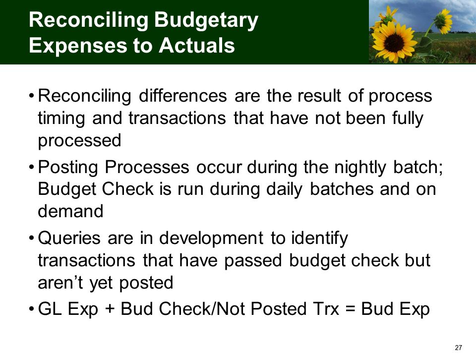budgetary expenses