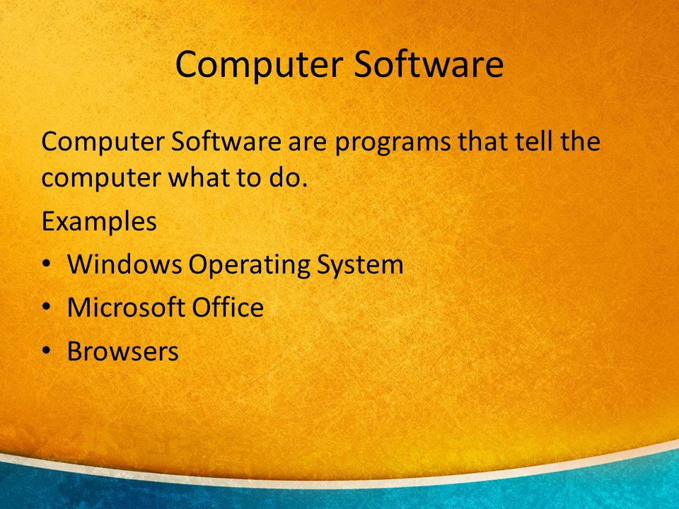 Computer Software Computer Software are programs that tell the computer what to do.