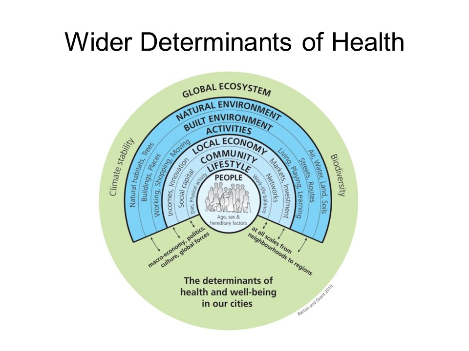 Wider Determinants of Health